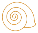 Escargot, doré