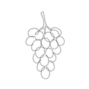 Grappe de raisin, noire