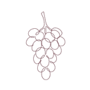 Grappe de raisin, bordeaux